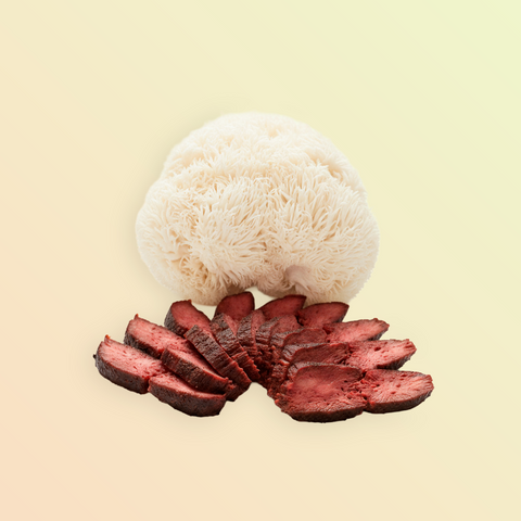 Lion’s Mane Steak